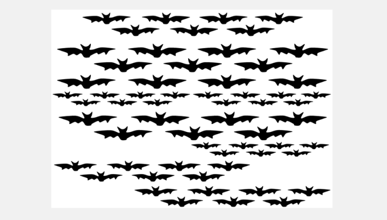 halloween 2013 chauve souris