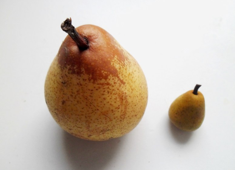 poire 003