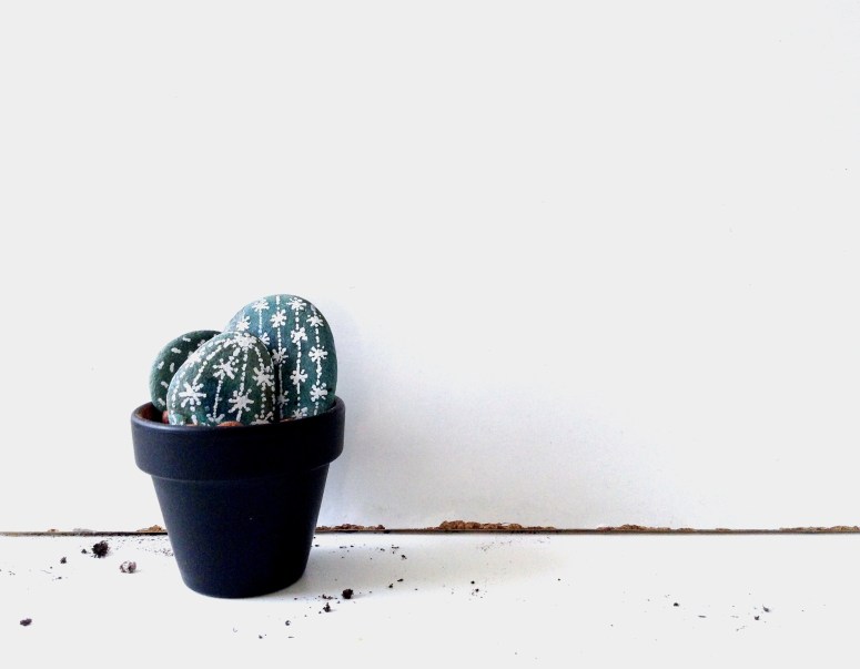 cactus DIY (5)