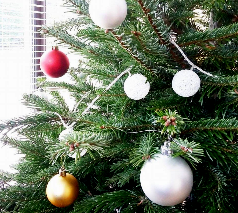 IN THE MODD FOR XMAS (5)