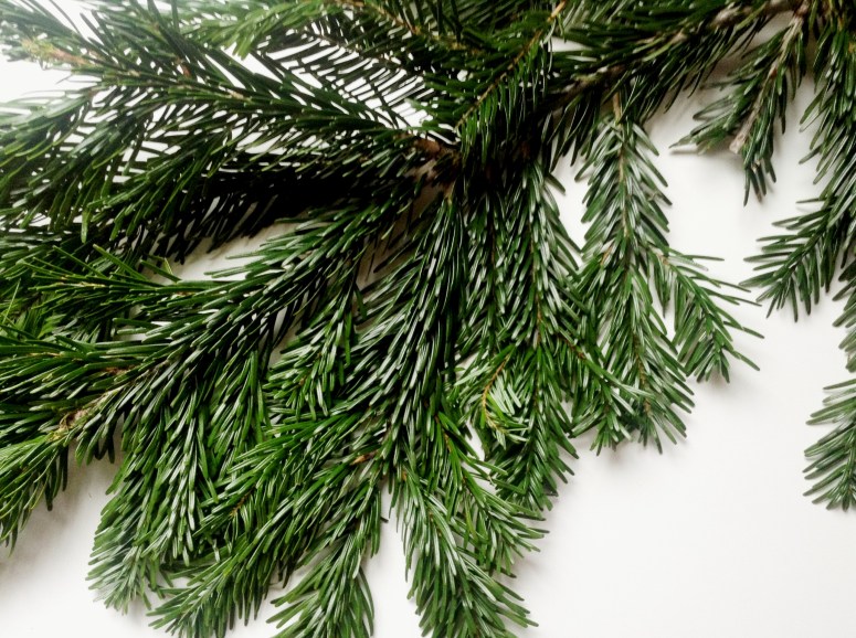 in the mood for XMAS (26)