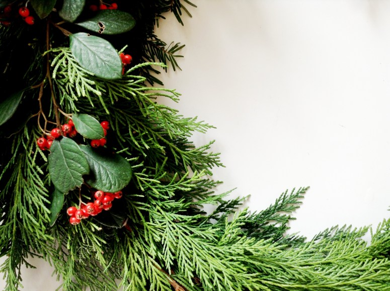 in the mood for XMAS (5)