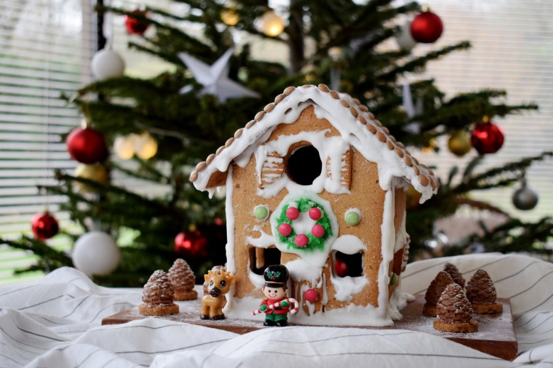 GINGERBREADHOUSE.jpg13