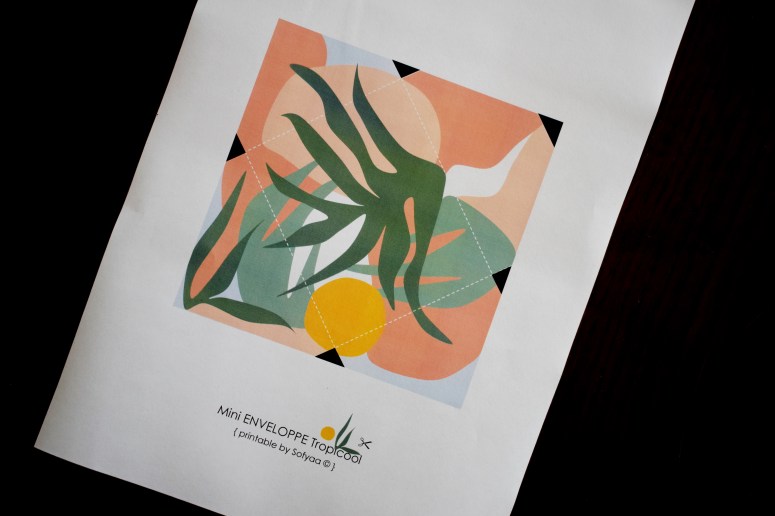Mini BOX CARTE ENVELOPPE Tropicool2