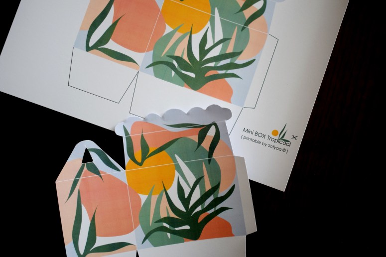Mini BOX CARTE ENVELOPPE Tropicool3