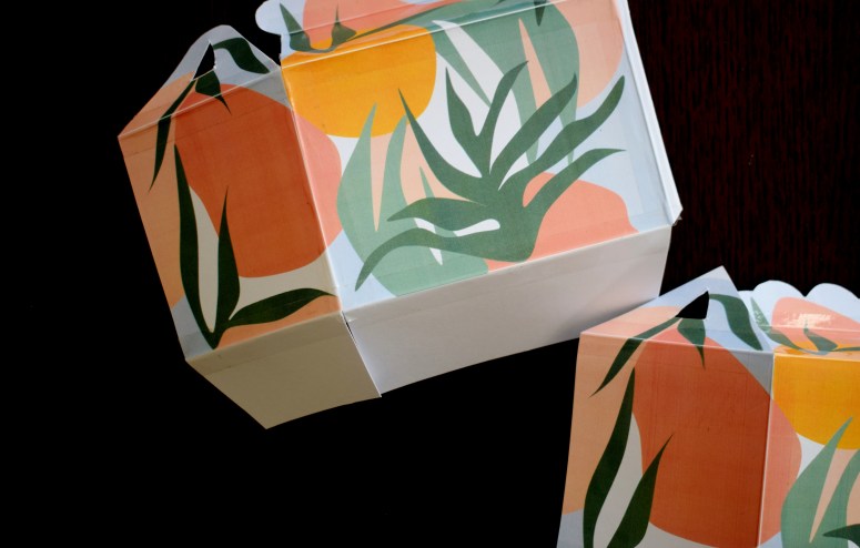 Mini BOX CARTE ENVELOPPE Tropicool4