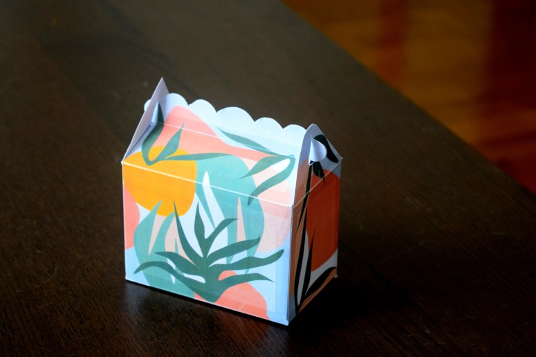 Mini BOX CARTE ENVELOPPE Tropicool5.JPG