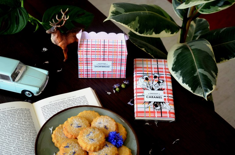 SCOTTISH TOUCH sofyaa (1)