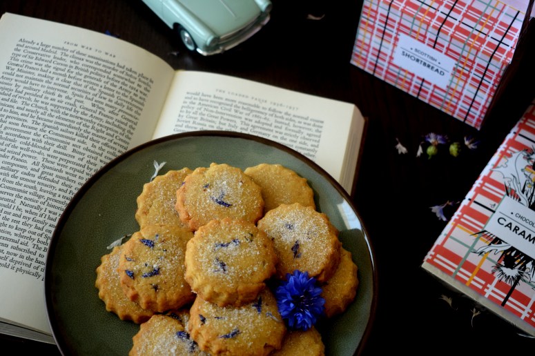 SCOTTISH TOUCH sofyaa (4)