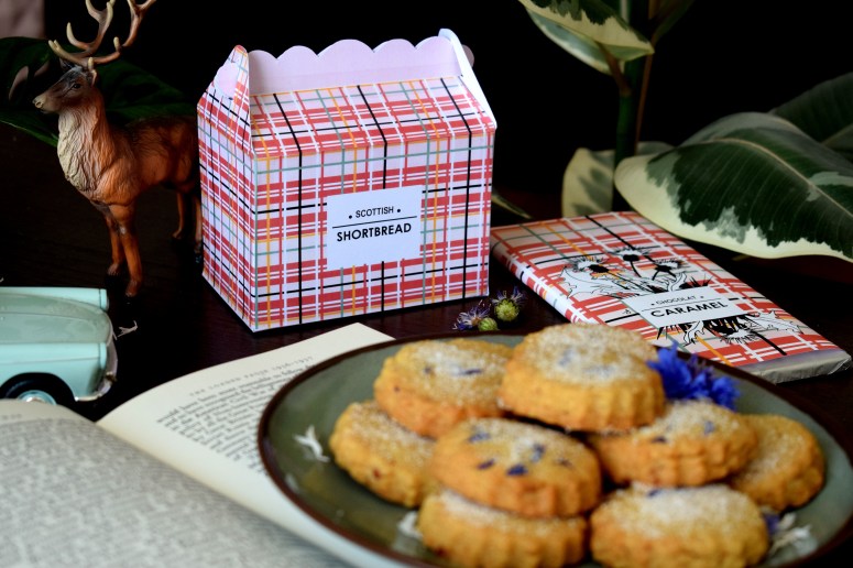 SCOTTISH TOUCH sofyaa (6)