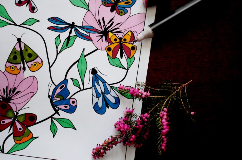 PAPILLONS sofyaa (1)