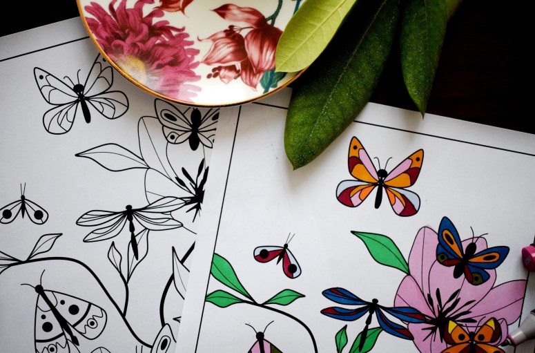 PAPILLONS sofyaa (2)