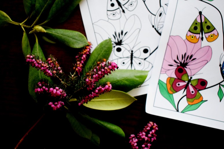 PAPILLONS sofyaa (3)