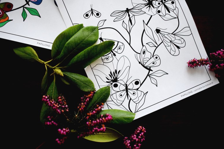 PAPILLONS sofyaa (6)